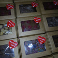 Mini fudge slabs Candle Galor PTY LTD